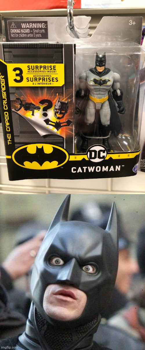Catwoman (Mod note: woah woah waoh, did you just assume their gender??? Mabye that is a woman) | image tagged in shocked batman,batman,catwoman,you had one job,memes,toy | made w/ Imgflip meme maker