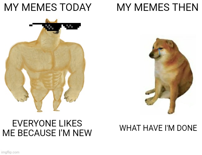 MEME | MY MEMES TODAY; MY MEMES THEN; EVERYONE LIKES ME BECAUSE I'M NEW; WHAT HAVE I'M DONE | image tagged in memes,buff doge vs cheems,now,then vs now | made w/ Imgflip meme maker