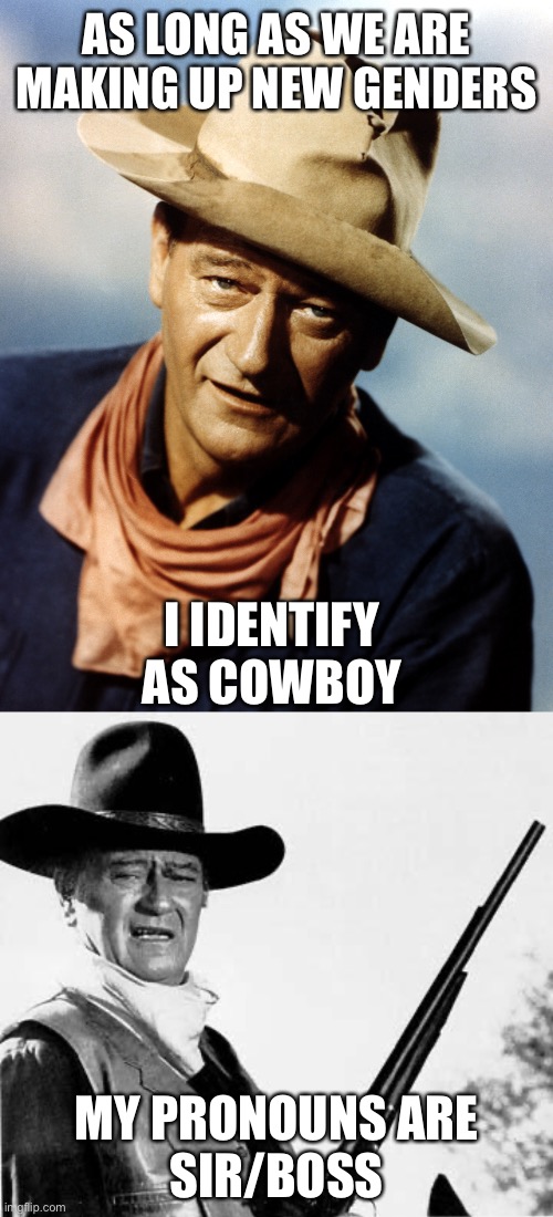 AS LONG AS WE ARE MAKING UP NEW GENDERS; I IDENTIFY AS COWBOY; MY PRONOUNS ARE
SIR/BOSS | image tagged in john wayne,john wayne comeback,cowboy,sir,boss | made w/ Imgflip meme maker