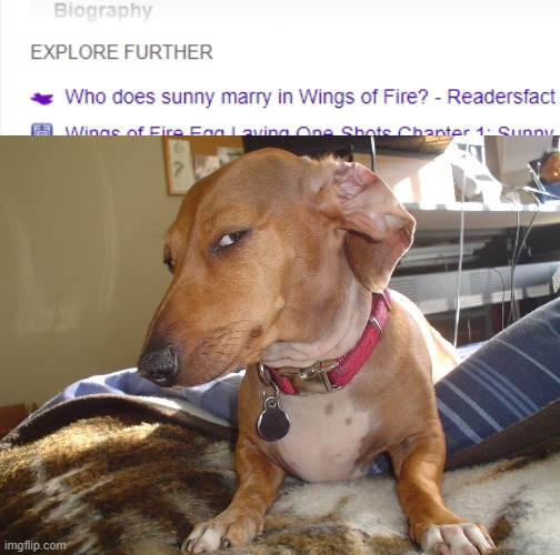 WHAT | image tagged in suspicious dog | made w/ Imgflip meme maker