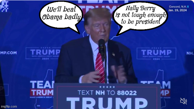 Delusional Don | Hally Berry is not tough enough to be president; We'll beat Obama badly | image tagged in nikki haley,nance pelosi,obama,biden,dementita,alzhimers | made w/ Imgflip meme maker