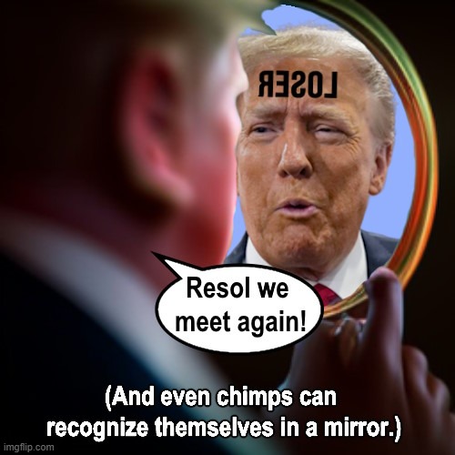 Loser J. Trump Has Been Failing This Cognitive Test All Along | image tagged in trump,donald trump,loser j trump,loser trump,trump loser | made w/ Imgflip meme maker