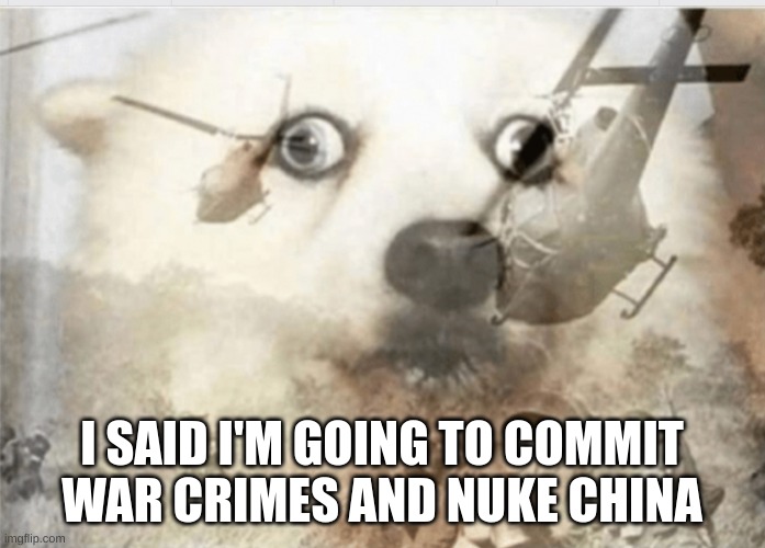PTSD dog | I SAID I'M GOING TO COMMIT WAR CRIMES AND NUKE CHINA | image tagged in ptsd dog | made w/ Imgflip meme maker