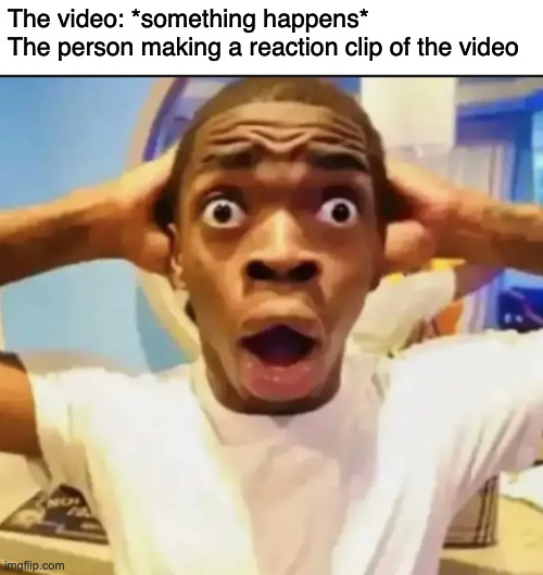 Reaction videos be like | The video: *something happens*
The person making a reaction clip of the video | image tagged in surprised black guy,memes,funny,youtube,reactions | made w/ Imgflip meme maker