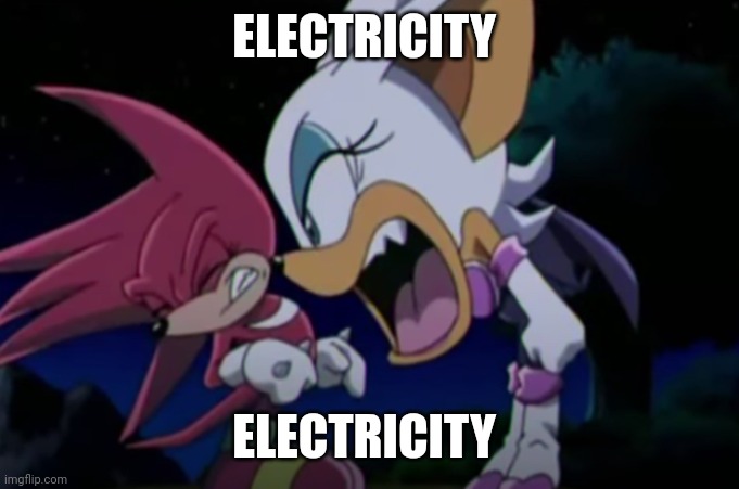 rouge yelling at knuckles | ELECTRICITY; ELECTRICITY | image tagged in rouge yelling at knuckles | made w/ Imgflip meme maker