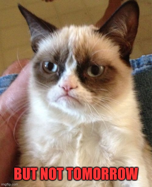 Grumpy Cat Meme | BUT NOT TOMORROW | image tagged in memes,grumpy cat | made w/ Imgflip meme maker