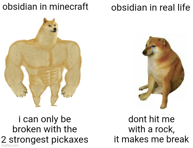 Buff Doge vs. Cheems | obsidian in minecraft; obsidian in real life; i can only be broken with the 2 strongest pickaxes; dont hit me with a rock, it makes me break | image tagged in memes,buff doge vs cheems | made w/ Imgflip meme maker