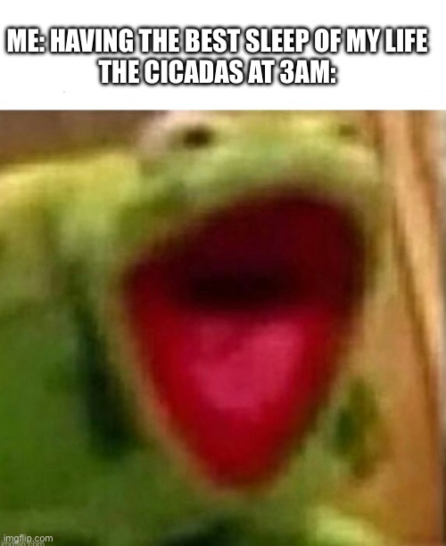 ME: HAVING THE BEST SLEEP OF MY LIFE
THE CICADAS AT 3AM: | image tagged in am i a joke to u,kermit yell | made w/ Imgflip meme maker