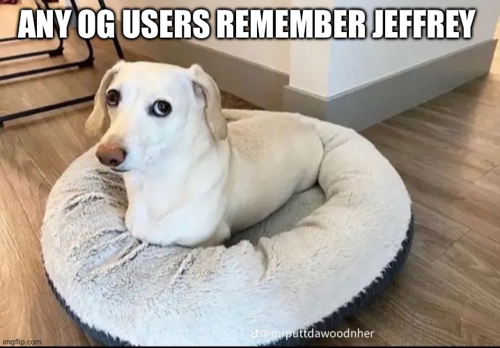This guy was unhinged | ANY OG USERS REMEMBER JEFFREY | made w/ Imgflip meme maker