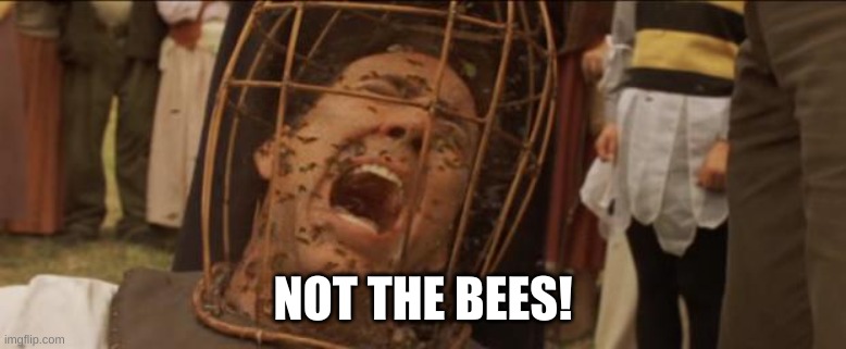 Not the bees | NOT THE BEES! | image tagged in not the bees | made w/ Imgflip meme maker