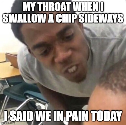 relatable | MY THROAT WHEN I SWALLOW A CHIP SIDEWAYS; I SAID WE IN PAIN TODAY | image tagged in i said we sad today | made w/ Imgflip meme maker