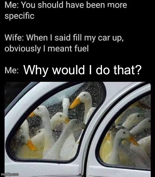 Fill her up | Why would I do that? | image tagged in fuel,ducks,wife | made w/ Imgflip meme maker