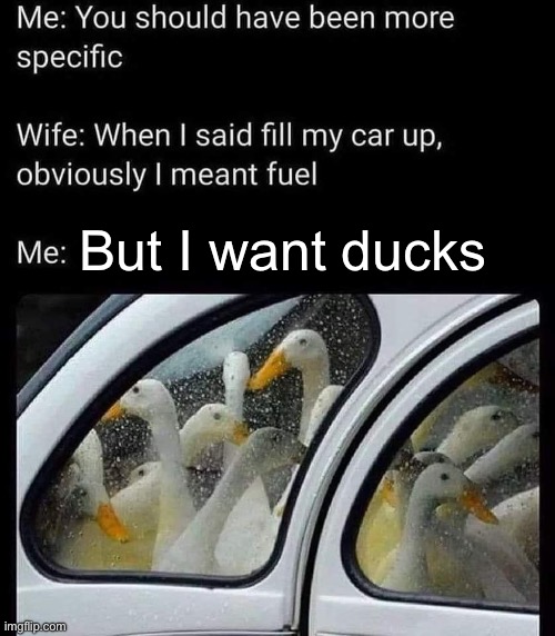 Fill her up | But I want ducks | image tagged in fuel,ducks,car,wife | made w/ Imgflip meme maker