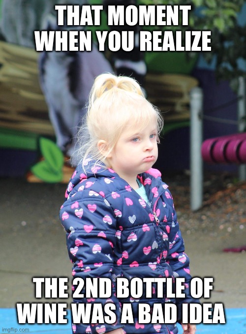 Regret | THAT MOMENT WHEN YOU REALIZE; THE 2ND BOTTLE OF WINE WAS A BAD IDEA | image tagged in wine,funny memes | made w/ Imgflip meme maker