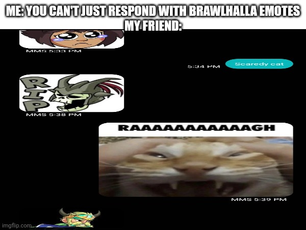 ME: YOU CAN'T JUST RESPOND WITH BRAWLHALLA EMOTES
MY FRIEND: | made w/ Imgflip meme maker