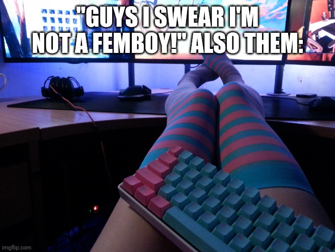 Programmer Socks | "GUYS I SWEAR I'M NOT A FEMBOY!" ALSO THEM: | image tagged in programmer socks | made w/ Imgflip meme maker
