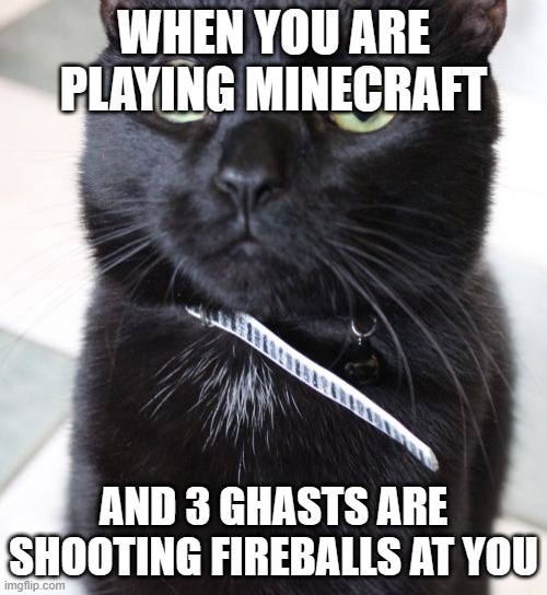 Woah Kitty Meme | WHEN YOU ARE PLAYING MINECRAFT; AND 3 GHASTS ARE SHOOTING FIREBALLS AT YOU | image tagged in memes,woah kitty | made w/ Imgflip meme maker