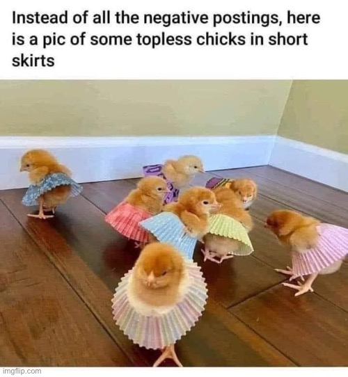 Topless Chicks | image tagged in topless,chicks,upskirt,skirt | made w/ Imgflip meme maker