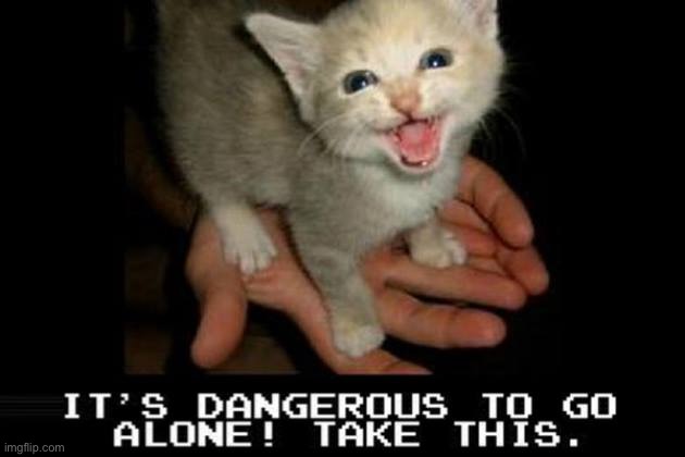 It's dangerous to go alone! Take this. | image tagged in it's dangerous to go alone take this | made w/ Imgflip meme maker