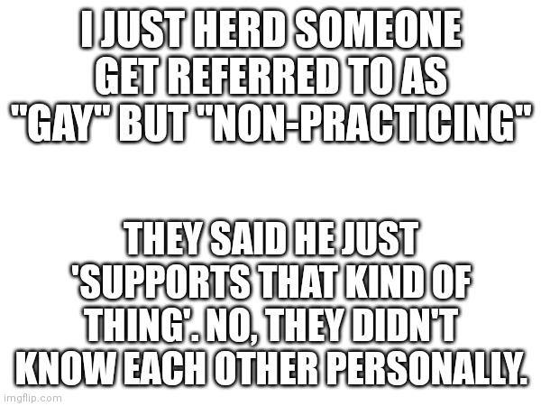 Isn't that just being an ally? | I JUST HERD SOMEONE GET REFERRED TO AS "GAY" BUT "NON-PRACTICING"; THEY SAID HE JUST 'SUPPORTS THAT KIND OF THING'. NO, THEY DIDN'T KNOW EACH OTHER PERSONALLY. | made w/ Imgflip meme maker