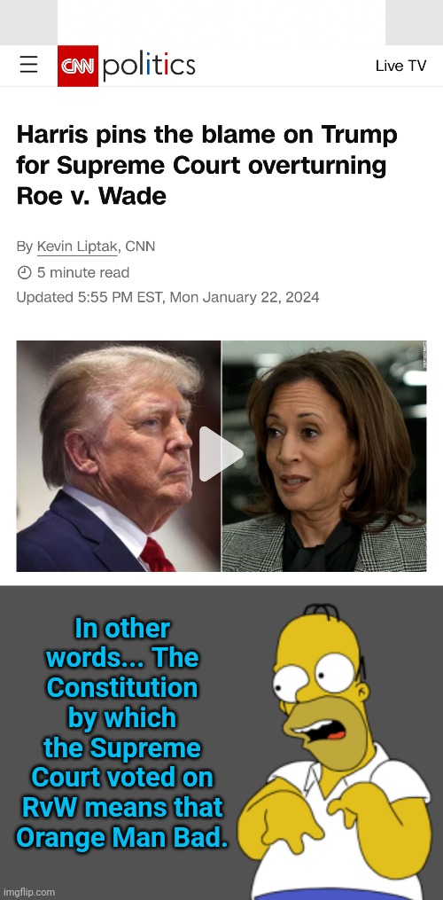 In other words... The Constitution by which the Supreme Court voted on RvW means that Orange Man Bad. | image tagged in durrrr my name is chris king pot meet kettle,cnn breaking news,kamala harris,donald trump | made w/ Imgflip meme maker