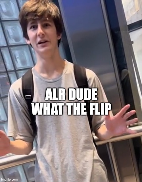 alright dude what the flip | ALR DUDE WHAT THE FLIP | image tagged in alright dude what the flip | made w/ Imgflip meme maker