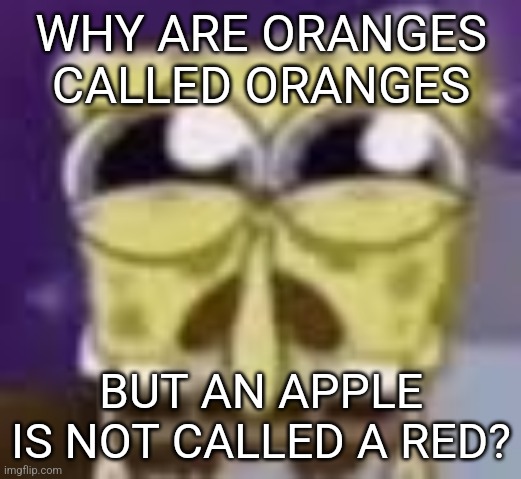 Oh my goodness I can't take it anymore!!!!! | WHY ARE ORANGES CALLED ORANGES; BUT AN APPLE IS NOT CALLED A RED? | image tagged in eatin,a,burger,with,no,honey mustard | made w/ Imgflip meme maker