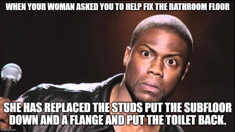 Wait What? | WHEN YOUR WOMAN ASKED YOU TO HELP FIX THE BATHROOM FLOOR; SHE HAS REPLACED THE STUDS PUT THE SUBFLOOR DOWN AND A FLANGE AND PUT THE TOILET BACK. | image tagged in wait what | made w/ Imgflip meme maker