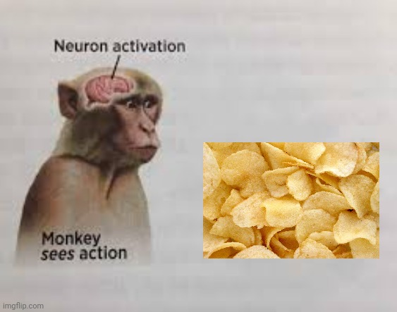 Crunchy potato chips | image tagged in neuron activation,potato chip,potato chips,memes,chips,chip | made w/ Imgflip meme maker