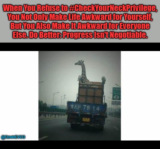 #CheckYourNeckPrivilege | When You Refuse to #CheckYourNeckPrivilege, 

You Not Only Make Life Awkward for Yourself, 

But You Also Make It Awkward for Everyone 

Else. Do Better: Progress Isn't Negotiable. @OzwinEVCG | image tagged in check your privilege,comedy,check your neck privilege,sarcasm,driving with animals,giraffe supremacy | made w/ Imgflip meme maker