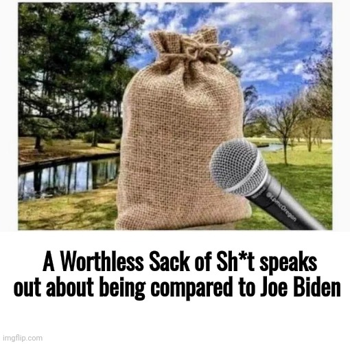 I'd be insulted too | A Worthless Sack of Sh*t speaks out about being compared to Joe Biden | image tagged in blank white template,joe biden,the lowest scum in history,politicians suck,he blows too,worst in history | made w/ Imgflip meme maker