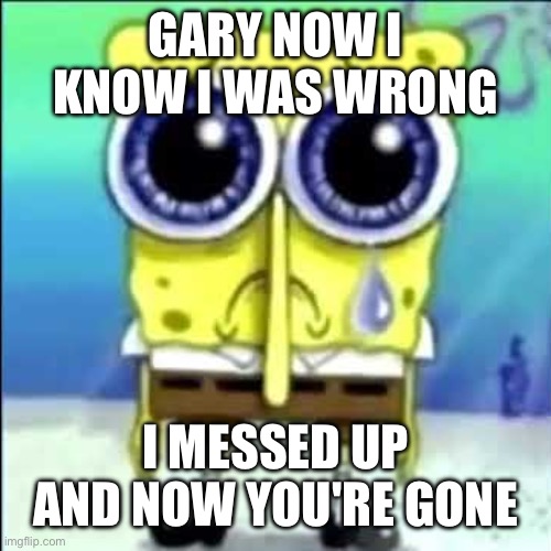 wa wa wa wa wa wa wa wa wa | GARY NOW I KNOW I WAS WRONG; I MESSED UP AND NOW YOU'RE GONE | image tagged in sad spongebob | made w/ Imgflip meme maker