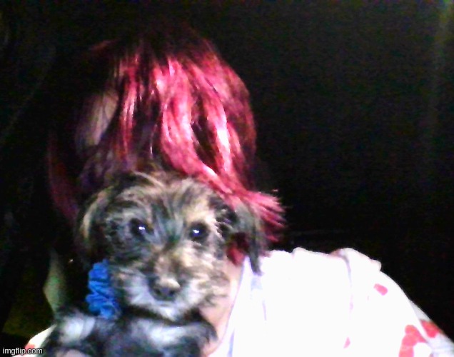 New puppy and new hair color!!! | image tagged in puppy,hair | made w/ Imgflip meme maker