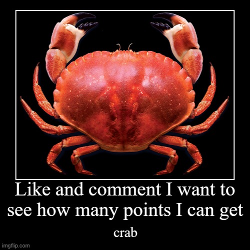 crab | Like and comment I want to see how many points I can get | crab | image tagged in funny,demotivationals | made w/ Imgflip demotivational maker
