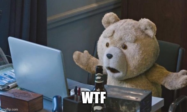 Ted 2 computer | WTF | image tagged in ted 2 computer | made w/ Imgflip meme maker