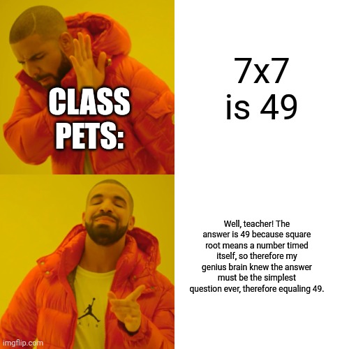 Its not that hard to explain guys >:( | 7x7 is 49; CLASS PETS:; Well, teacher! The answer is 49 because square root means a number timed itself, so therefore my genius brain knew the answer must be the simplest question ever, therefore equaling 49. | image tagged in memes,drake hotline bling | made w/ Imgflip meme maker