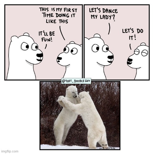 image tagged in polar bears,dance | made w/ Imgflip meme maker