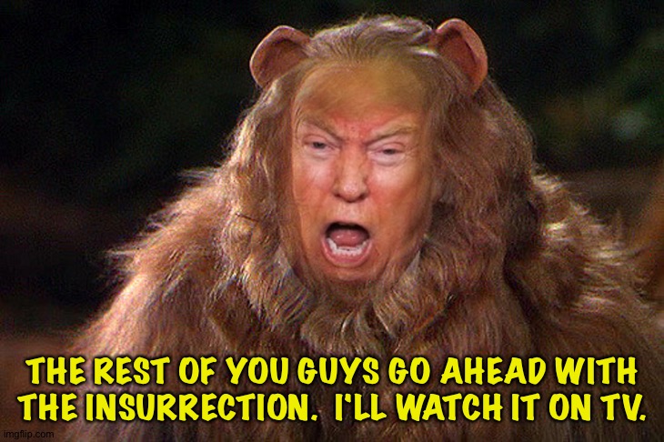 Trump the Cowardly Lion | THE REST OF YOU GUYS GO AHEAD WITH THE INSURRECTION.  I'LL WATCH IT ON TV. | image tagged in trump cowardly lion | made w/ Imgflip meme maker