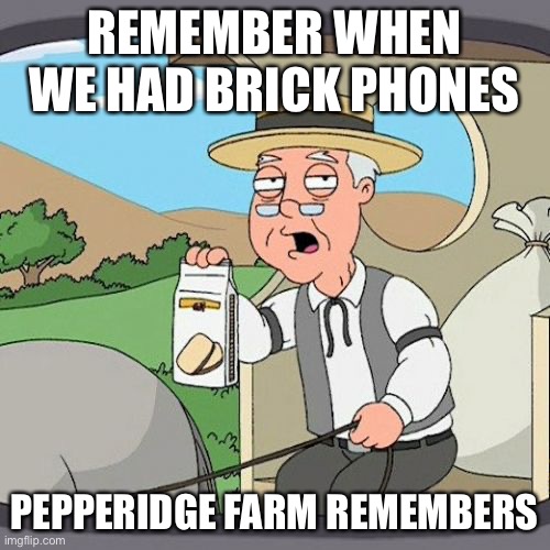 Pepperidge Farm Remembers everything | REMEMBER WHEN WE HAD BRICK PHONES; PEPPERIDGE FARM REMEMBERS | image tagged in memes,pepperidge farm remembers | made w/ Imgflip meme maker