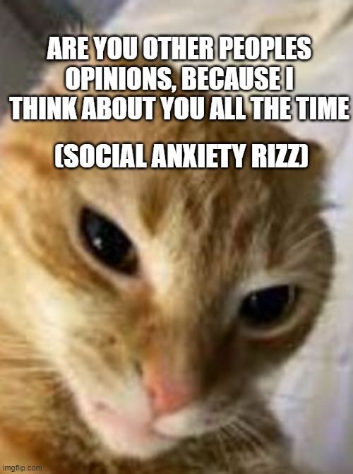 Rizz cat is back! | ARE YOU OTHER PEOPLES OPINIONS, BECAUSE I THINK ABOUT YOU ALL THE TIME; (SOCIAL ANXIETY RIZZ) | image tagged in rizz cat,memes,funny | made w/ Imgflip meme maker