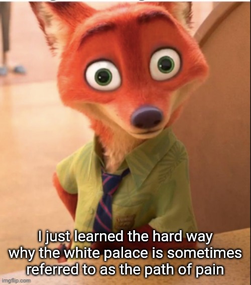 (hollow knight) | I just learned the hard way why the white palace is sometimes referred to as the path of pain | image tagged in nick wilde big eyes | made w/ Imgflip meme maker