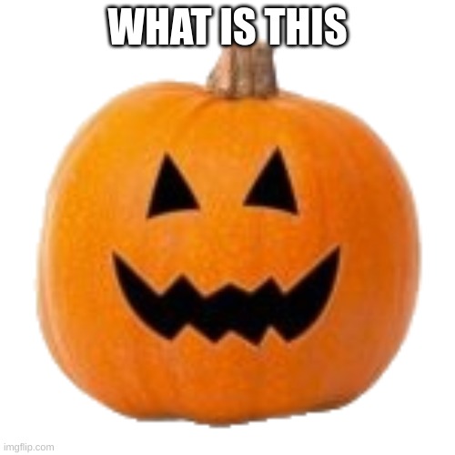 Halloween | WHAT IS THIS | image tagged in memes,icons | made w/ Imgflip meme maker
