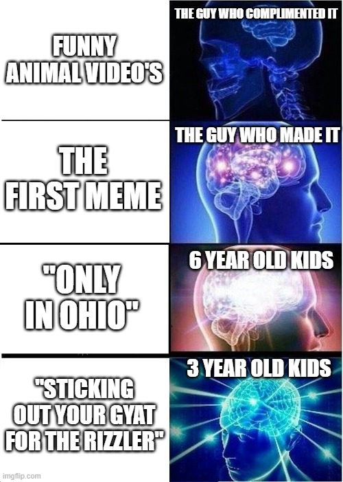 Expanding Brain | THE GUY WHO COMPLIMENTED IT; FUNNY ANIMAL VIDEO'S; THE GUY WHO MADE IT; THE FIRST MEME; 6 YEAR OLD KIDS; "ONLY IN OHIO"; 3 YEAR OLD KIDS; "STICKING OUT YOUR GYAT FOR THE RIZZLER" | image tagged in memes,expanding brain | made w/ Imgflip meme maker