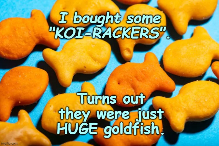 KOI-Rackers | I bought some "KOI-RACKERS". Turns out they were just HUGE goldfish. | image tagged in goldfish,crackers,satire | made w/ Imgflip meme maker