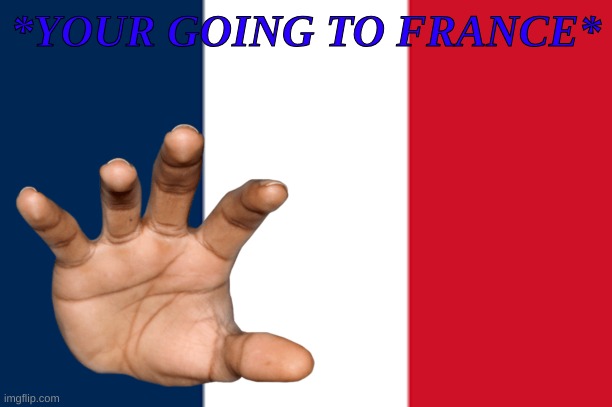 you bye bye | *YOUR GOING TO FRANCE* | image tagged in memes | made w/ Imgflip meme maker