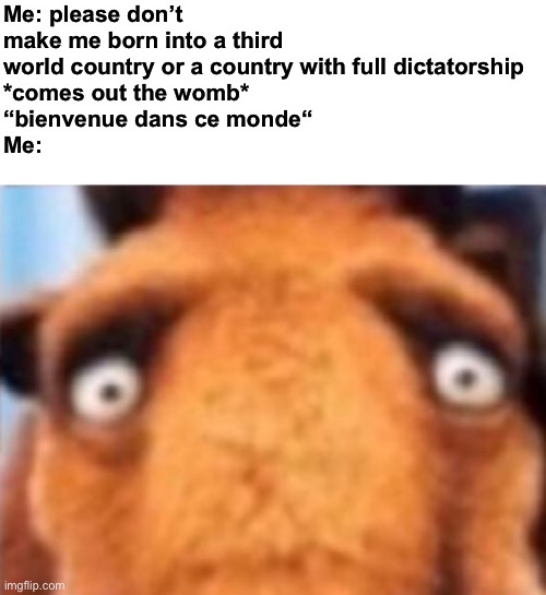 distressed manfred | Me: please don’t make me born into a third world country or a country with full dictatorship
*comes out the womb*
“bienvenue dans ce monde“
Me: | image tagged in distressed manfred | made w/ Imgflip meme maker