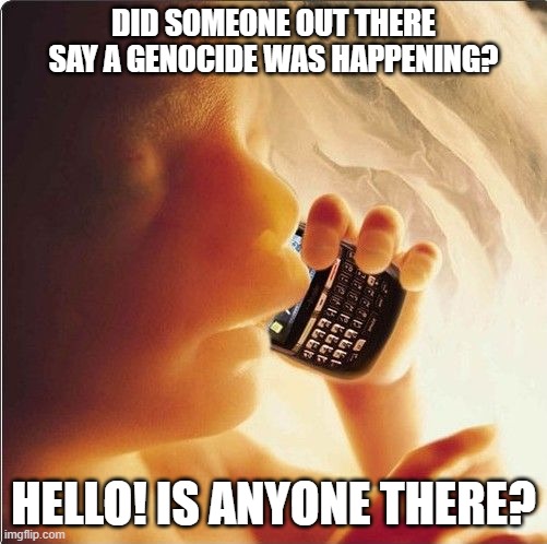 Baby in womb on cell phone - fetus blackberry | DID SOMEONE OUT THERE SAY A GENOCIDE WAS HAPPENING? HELLO! IS ANYONE THERE? | image tagged in baby in womb on cell phone - fetus blackberry | made w/ Imgflip meme maker