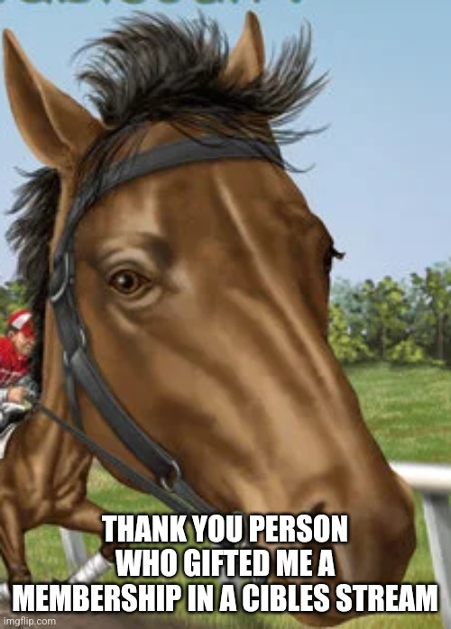 Big horse | THANK YOU PERSON WHO GIFTED ME A MEMBERSHIP IN A CIBLES STREAM | image tagged in big horse | made w/ Imgflip meme maker