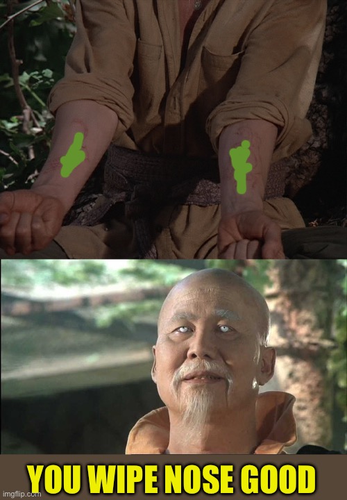 YOU WIPE NOSE GOOD | image tagged in kung fu po | made w/ Imgflip meme maker