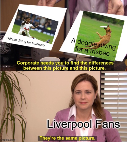 We won a "fair" game | Udogie diving for a penalty; A doggie diving for a frisbee; Liverpool Fans | image tagged in memes,they're the same picture | made w/ Imgflip meme maker